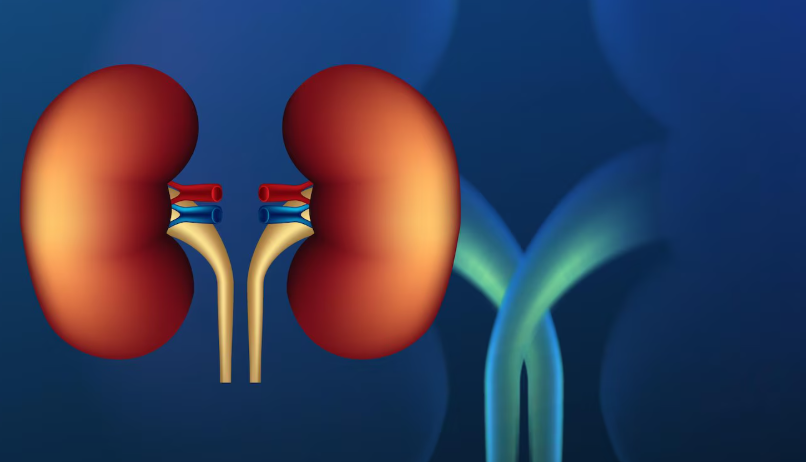 Promed Hospital Dialysis Services